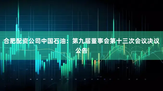 合肥配资公司中国石油：第九届董事会第十三次会议决议公告