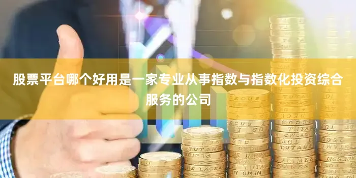 股票平台哪个好用是一家专业从事指数与指数化投资综合服务的公司