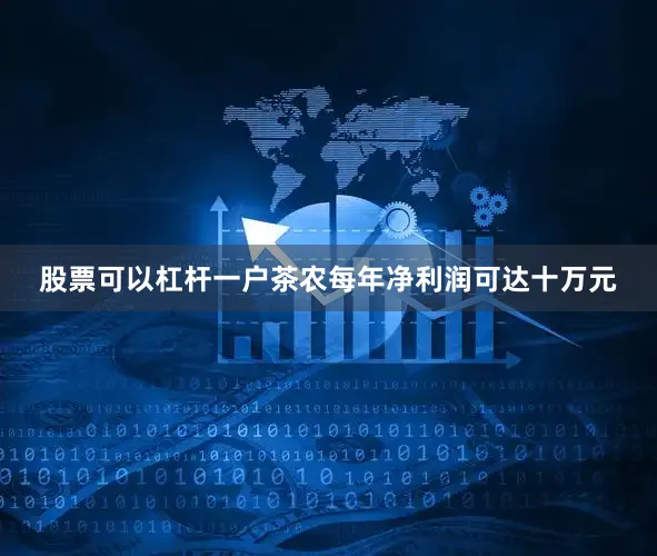 股票可以杠杆一户茶农每年净利润可达十万元